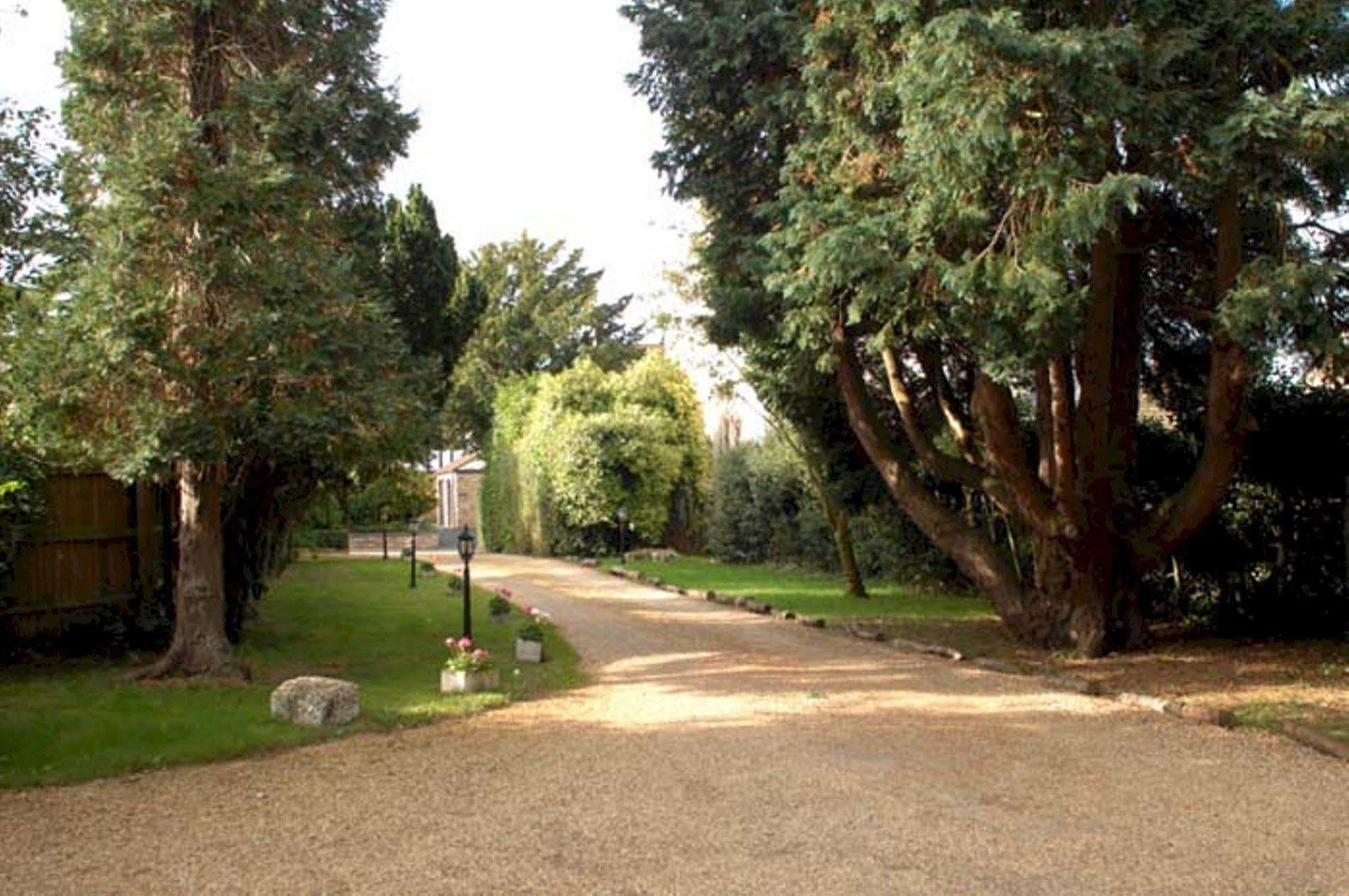 אילי The Nyton Guesthouse מראה חיצוני תמונה
